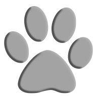 Davenport Road Animal Hospital
